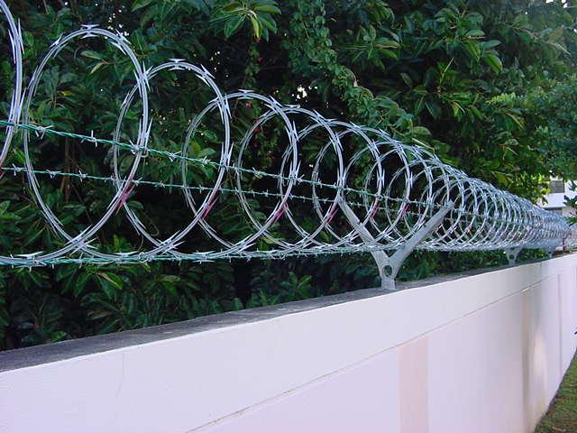 Razor wire Barb Wire 